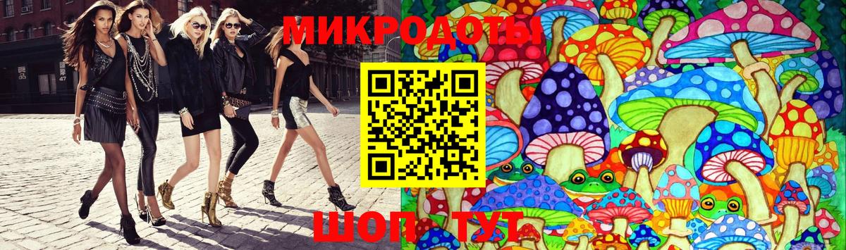Галлюциногенные грибы Psilocybine cubensis Сыктывкар